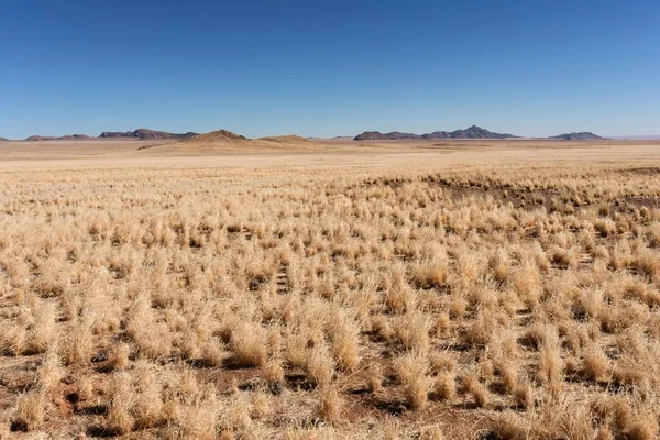 Landscape Aus Namibia Africa — Stock Photo, Image