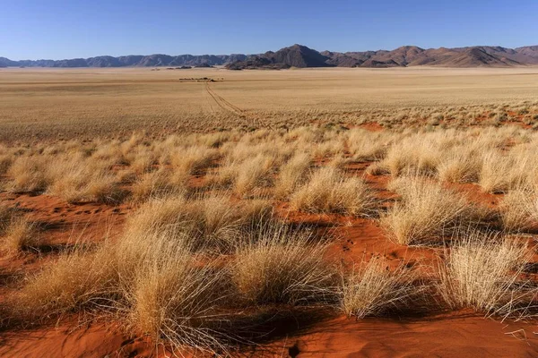 Steppe Landschap Zuidelijke Uitlopers Van Namib Woestijn Achter Het Tiras — Stockfoto