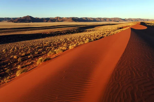 Pieds Sud Désert Namibien Dunes Sable Derrière Les Montagnes Tiras — Photo