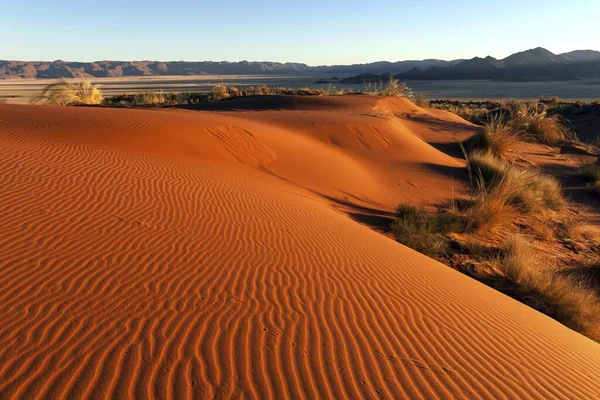 Montes Sul Deserto Namíbia Dunas Areia Com Tufos Grama Atrás — Fotografia de Stock