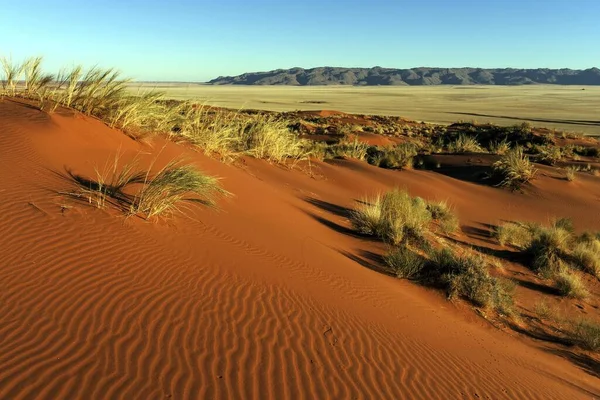 Южные Предгорья Пустыни Намиб Песчаные Дюны Пучками Травы Тирасскими Горами — стоковое фото