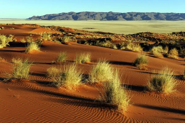 Южные Предгорья Пустыни Намиб Песчаные Дюны Пучками Травы Тирасскими Горами — стоковое фото