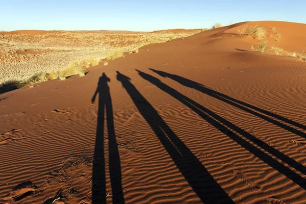 Photographes Projetant Des Ombres Sur Une Dune Sable Lumière Matin — Photo