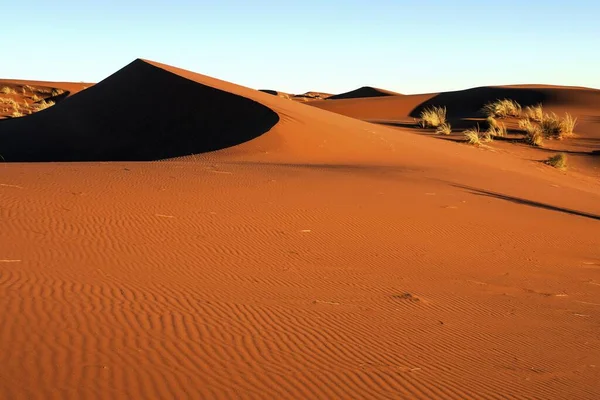 Zuidelijke Uitlopers Van Namibische Woestijn Zandduinen Met Grasduinen Avondlicht Namibië — Stockfoto