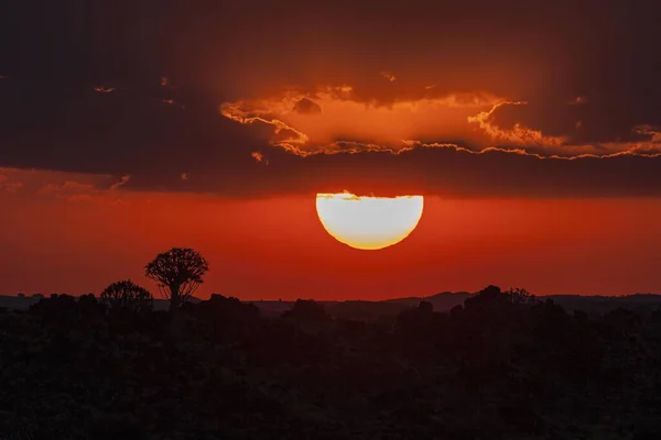 Закат Силуэт Деревьев Колчанов Парк Гарас Рядом Keetmanshoop Намибия Африка — стоковое фото