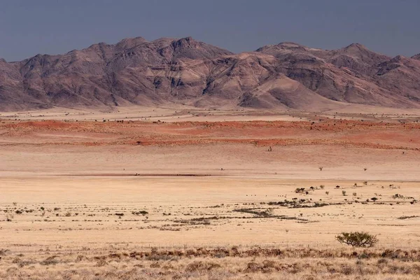 Vue Depuis Pad D707 Route Steppe Herbeuse Des Dunes Sable — Photo