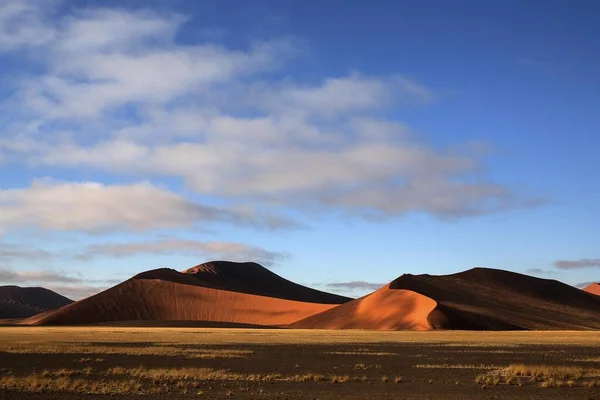 Wydmy Piaszczyste Sossusvlei Światło Wieczorne Pustynia Namib Namib Naukluft Park — Zdjęcie stockowe