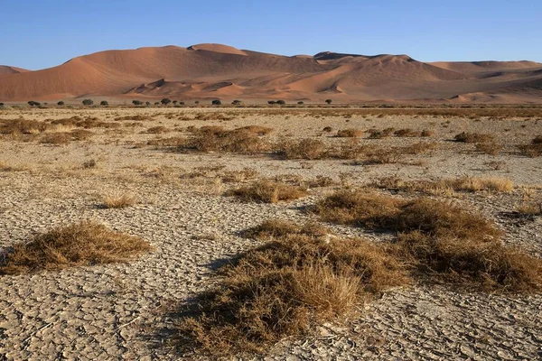 Dunes Sable Sossusvlei Désert Namib Namib Naukluft Park Namibie Afrique — Photo