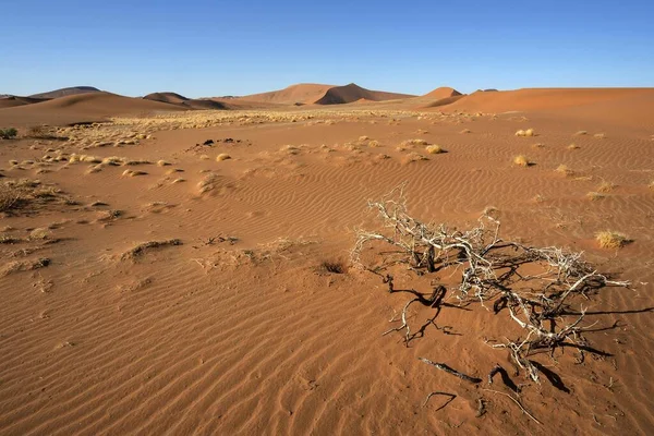Zandduinen Sossusvlei Namibische Woestijn Namibisch Naukluft Park Namibië Afrika — Stockfoto
