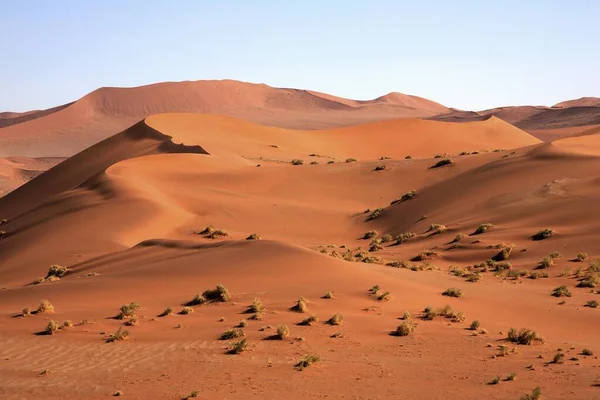 Dunas Areia Sossusvlei Deserto Namib Namib Naukluft Park Namíbia África — Fotografia de Stock