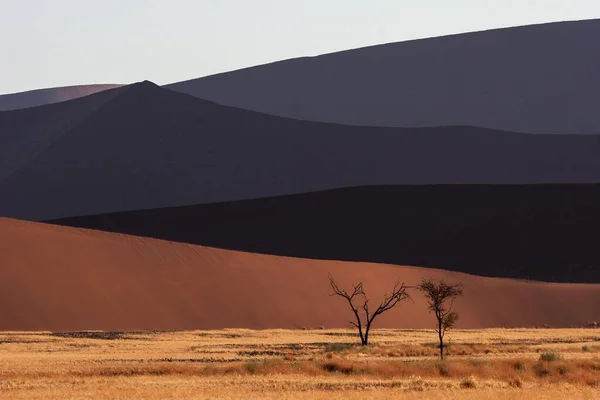 Písečné Duny Sossusvlei Namib Desert Namib Naukluft National Park Namibie — Stock fotografie