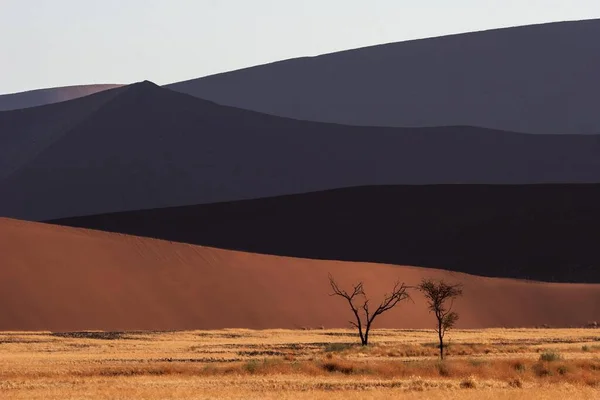 Dunes Sable Sossusvlei Désert Namib Parc National Namib Naukluft Namibie — Photo