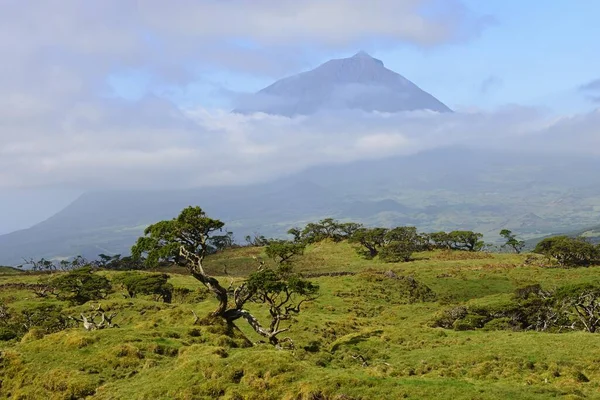 Góra Pico Azory Portugalia Europa — Zdjęcie stockowe