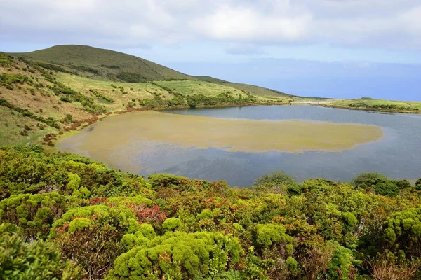 Lago Lagoa Caiado Highlands Pico Azores Portugal Europa —  Fotos de Stock