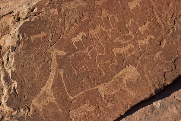 Petroglifos Prehistóricos Grabados Roca Twyfelfontein Namibia África — Foto de Stock