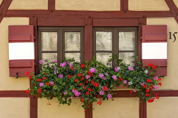 Ventana Con Geranios Pelargonium Sobre Casa Entramado Madera Secretariat Building — Foto de Stock