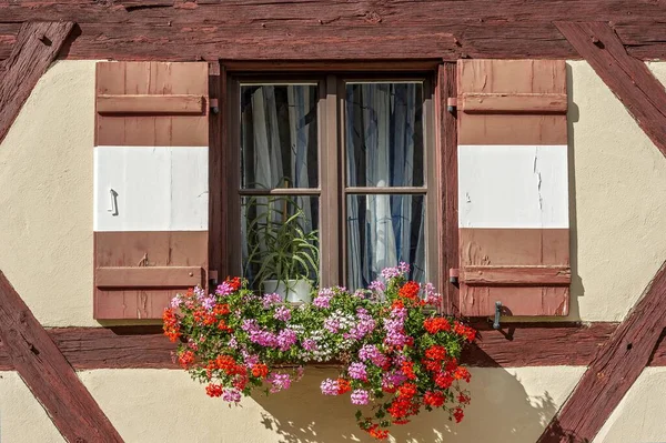 Okno Geraniami Pelargonium Sprawie Domu Muru Pruskiego Budynku Sekretariatu Zewnętrznego — Zdjęcie stockowe