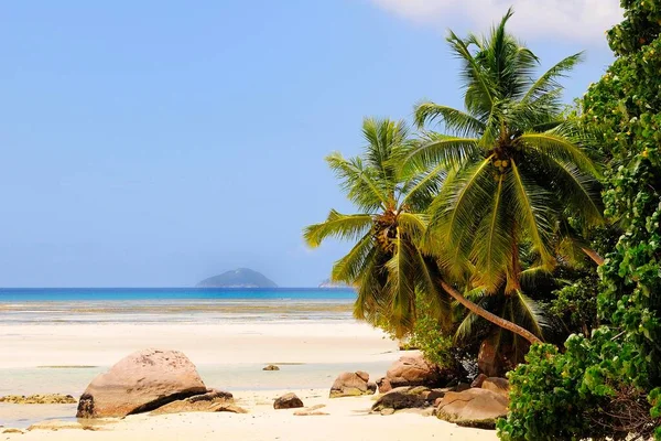 Vista Panoramica Sulla Baia Baie Ternay Mah Island Seychelles Africa — Foto Stock