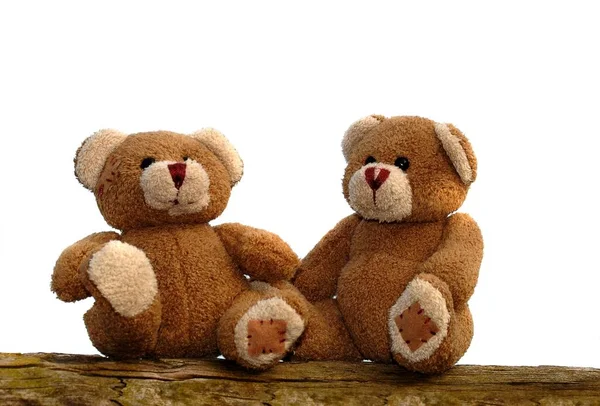 Zwei Teddybären Auf Einer Holzbank — Stockfoto