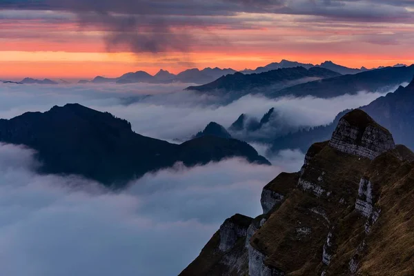 Denizi Gündoğumunda Bregenz Ormanı Üzerinde Sis Bregenz Ormanı Vorarlberg Avusturya — Stok fotoğraf