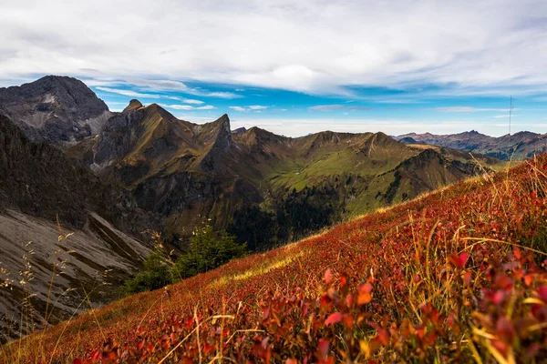 Prado Outono Com Montanhas Vorarlberg Schoppernau Floresta Bregenz Vorarlberg Áustria — Fotografia de Stock