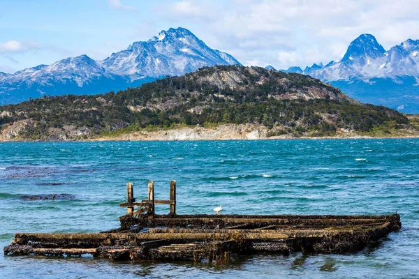 Beagle Channel Parco Nazionale Della Terra Del Fuoco Patagonia Argentina — Foto Stock