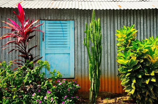 Cabaña Hierro Ondulado Con Persianas Azules Kani Kli Mayotte África —  Fotos de Stock