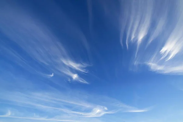 Cirrus Clouds Cirrus Blue Sky — Stock Photo, Image