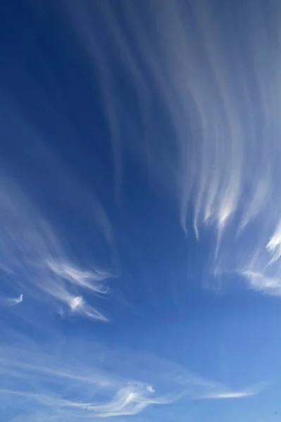 青い空のCirrus雲Cirrus — ストック写真