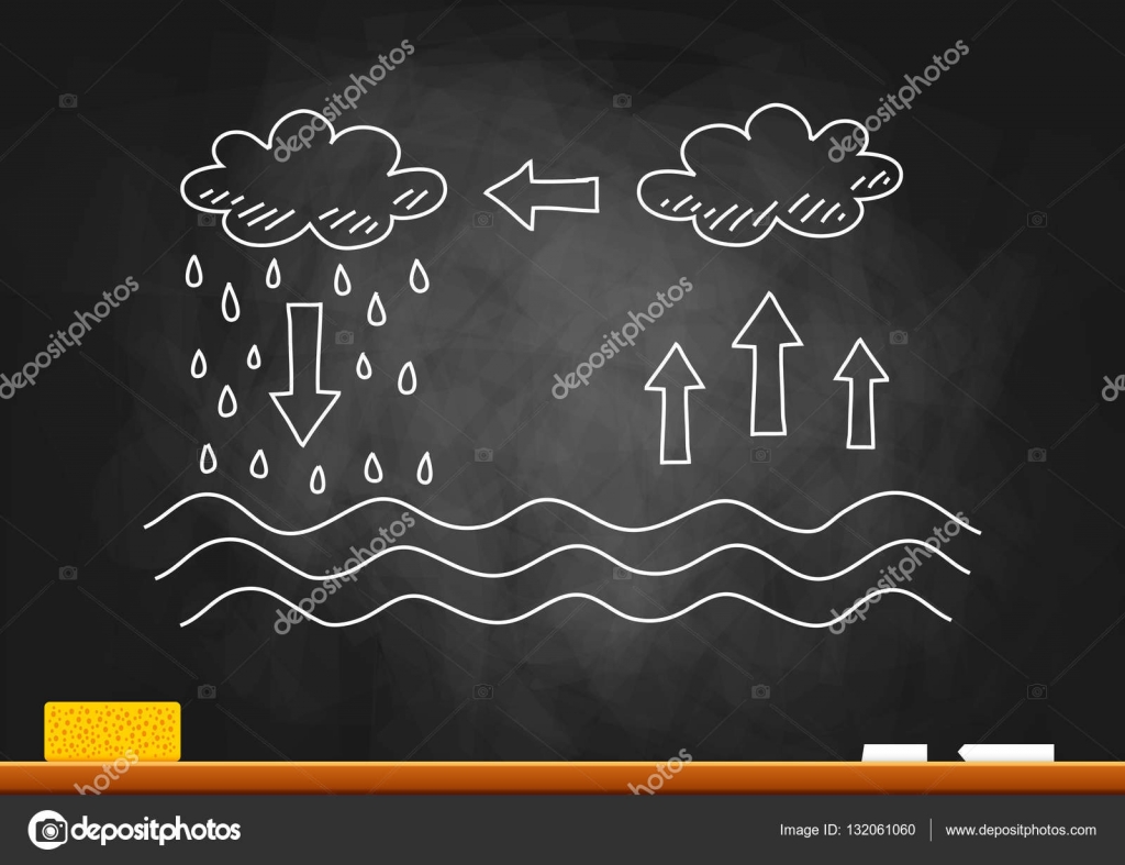 Water cycle drawing on blackboard Stock Vector | Adobe Stock-cacanhphuclong.com.vn