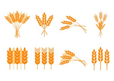 Beyaz arka planda turuncu tahıl simgeler