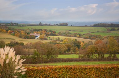 Devon, İngiltere 'de Sonbahar Kırsal Arazisi