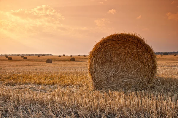 Rolle Heu bei Sonnenuntergang Stockfoto