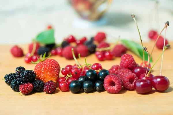 Mix van rijpe biologische bessen — Stockfoto