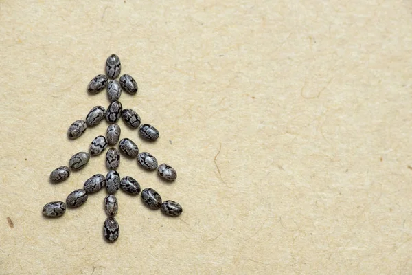Chia semínko vánoční strom — Stock fotografie