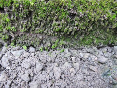 Malzeme, arkaplan, duvar ve toprağın dokusu