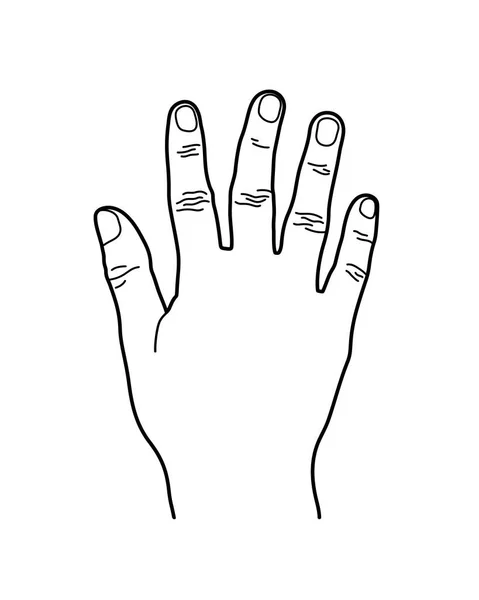 Number 5 or Five Hand Sign, Line Art Style Illustration