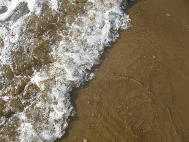 Denizin veya Okyanusun Dalgaları, Kumsalda