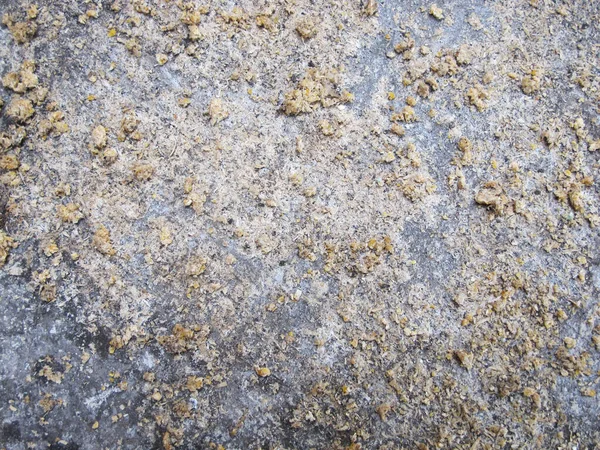 Kümes Hayvanları Çiftliği Çimento Döşeme Dokusu Tavuk Yiyeceği Ile Yayılıyor — Stok fotoğraf
