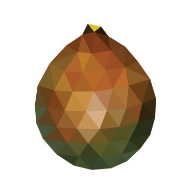Polygonal Salacca veya Salak Fruit, Low Poly Zalacca, Vector Illustration