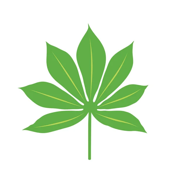 Cassava Plant Leaf, On White Background — Stock Illustration Cassava Plant Leaf White Background Stock Vector