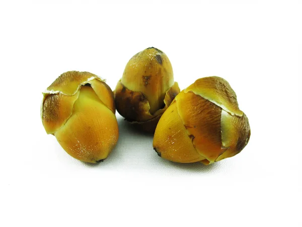 Młode Owoce Kokosowe Białym Tle Żółty Kokos Dziecka — Zdjęcie stockowe