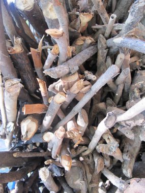 Yakacak odun yığını, ağaç kabuğu gövdesi parçası.