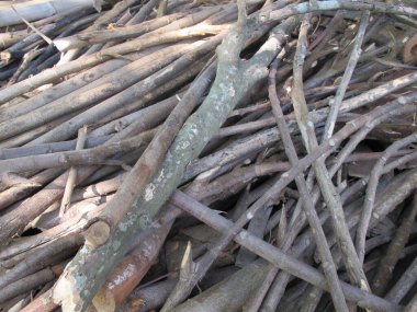 Yakacak odun yığınları, ağaç kabuğu gövdesi parçaları, kış için hazırlık.