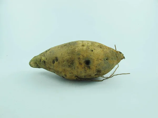 Eine Frische Süßkartoffel Isoliert Auf Weißem Hintergrund Vorderansicht — Stockfoto
