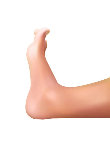 Кавказька Людська Нога Реалістичний Дизайн Вектора — стоковий вектор