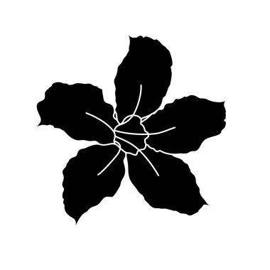 Siyah Adenyum Çiçek Silüeti, Siyah Arkaplanda İzole Edilmiş - Vektör