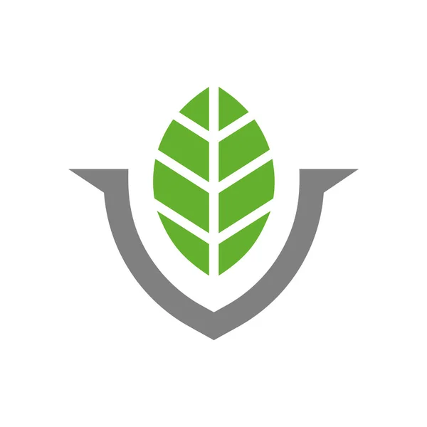 Concepto Hoja Verde Plantilla Diseño Logotipo Creativo Vector — Vector de stock