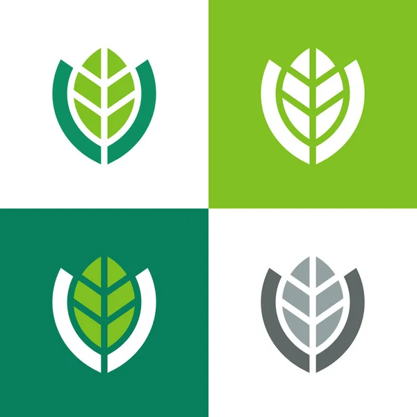 Escudo Con Diseño Logotipo Hoja Eco Proteger Símbolo Vector — Archivo Imágenes Vectoriales
