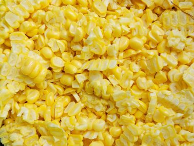 Sarı taze mısır dokusu, çiğ sebze arka planı, üst görünüm.